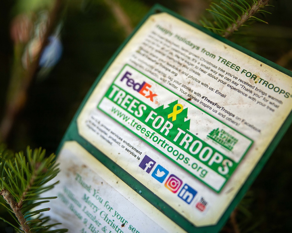 Pensacola MWR Hosts Tree Lighting, Trees for Troops