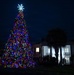 Pensacola MWR Hosts Tree Lighting, Trees for Troops