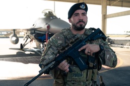 Defender Secures Fighter Aircraft