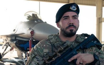 Defender Secures Fighter Aircraft