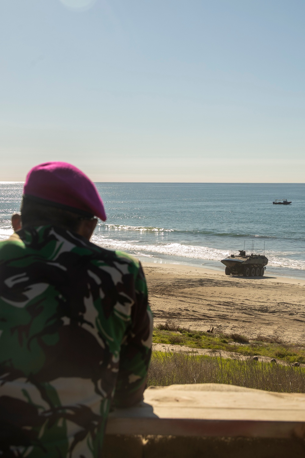 Steel Knight 25 International Observation Program