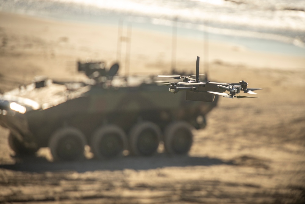 Steel Knight 25 International Observation Program