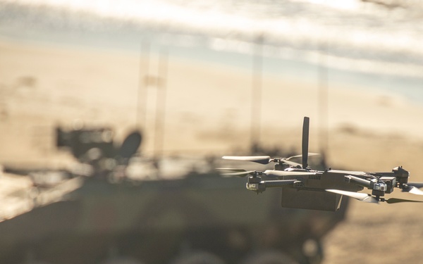 Steel Knight 25 International Observation Program