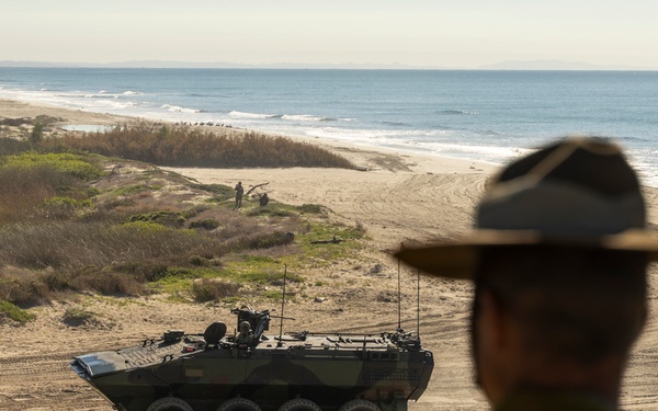 Steel Knight 25 International Observation Program