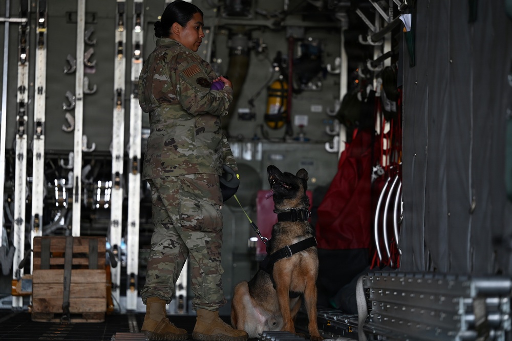 Military working dogs visit Montana Air National Guard Base