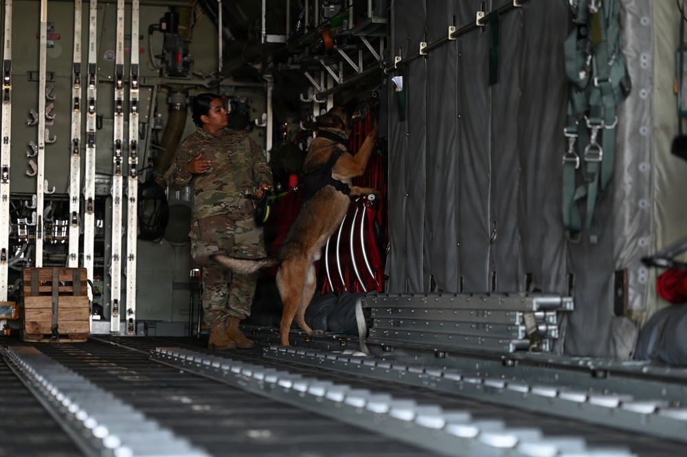 Military Working dogs visit Montana Air National Guard