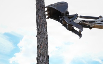 Digging In and Branching Out: Master Arborist Brings Critical Skills to Seabees