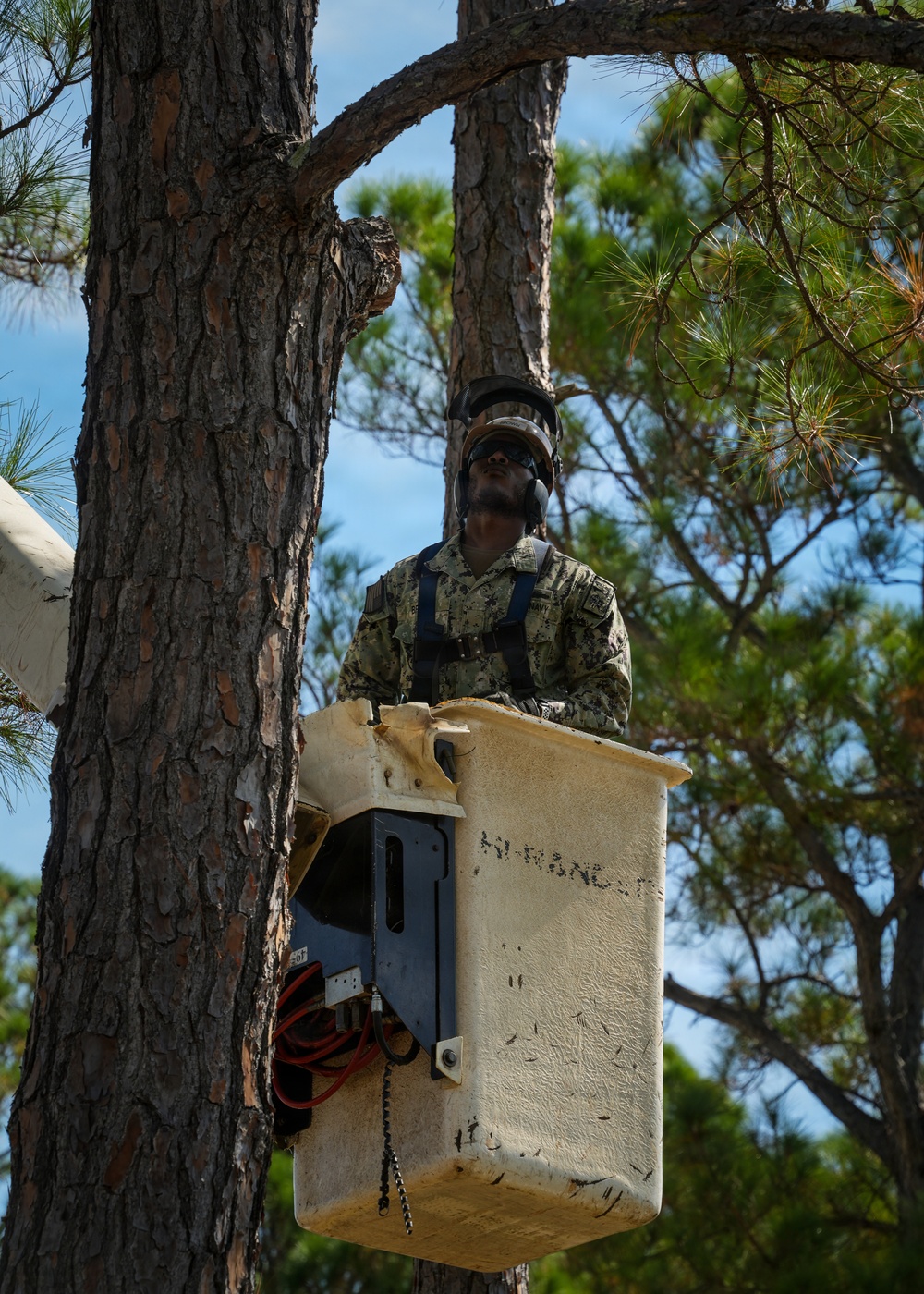 Digging In and Branching Out: Master Arborist Brings Critical Skills to Seabees