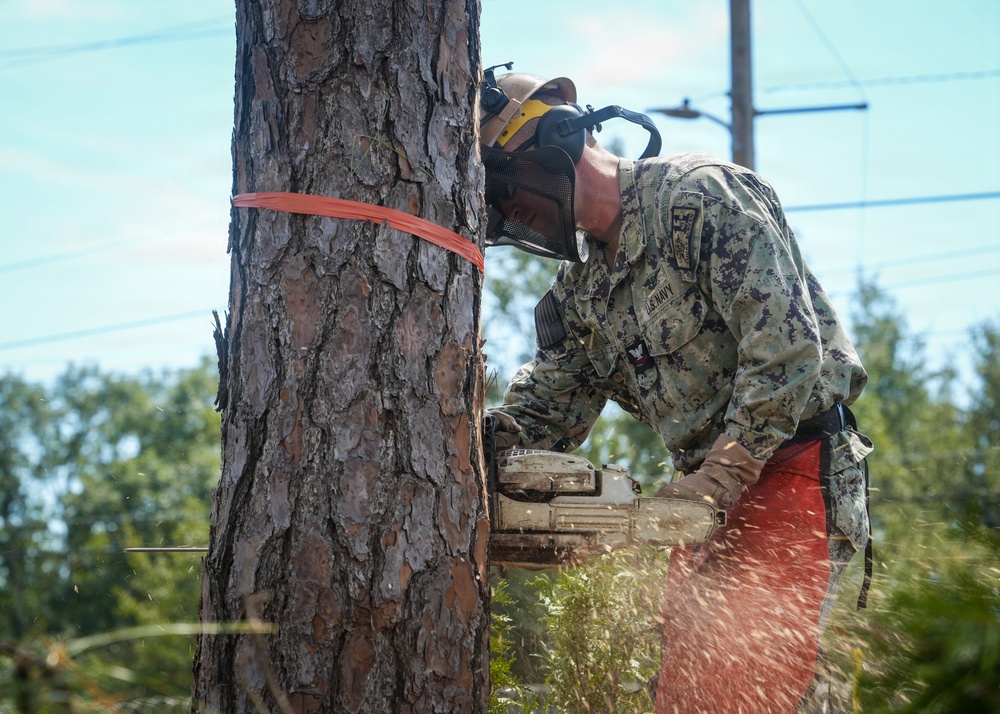 Digging In and Branching Out: Master Arborist Brings Critical Skills to Seabees