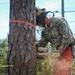 Digging In and Branching Out: Master Arborist Brings Critical Skills to Seabees
