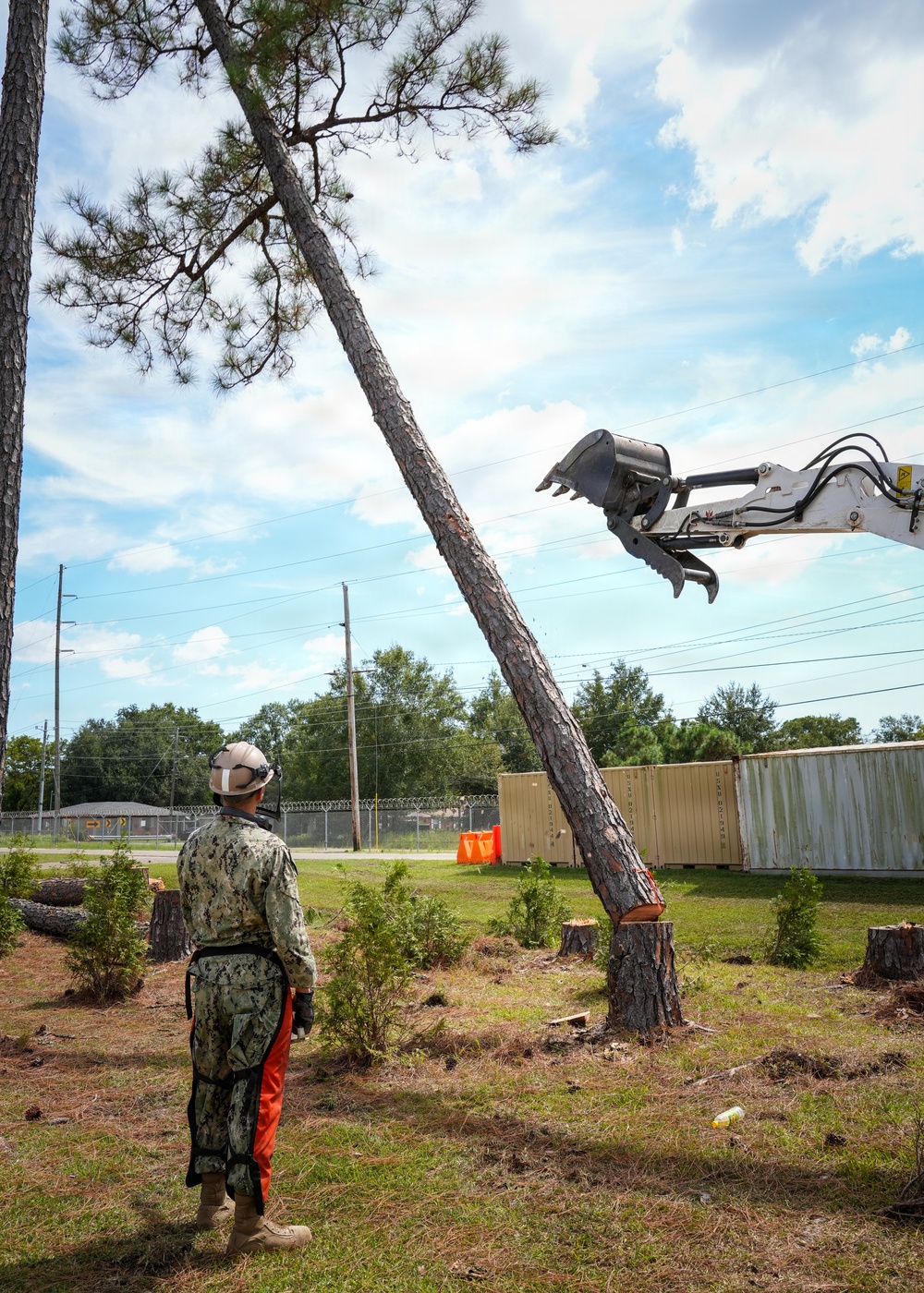 Digging In and Branching Out: Master Arborist Brings Critical Skills to Seabees