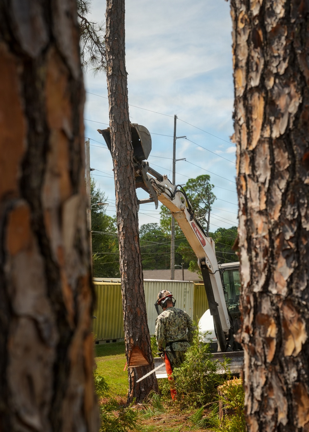 Digging In and Branching Out: Master Arborist Brings Critical Skills to Seabees