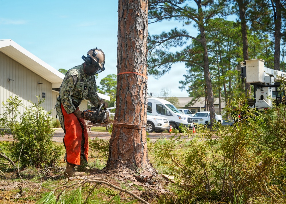 Digging In and Branching Out: Master Arborist Brings Critical Skills to Seabees