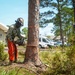 Digging In and Branching Out: Master Arborist Brings Critical Skills to Seabees