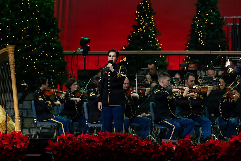 American Holiday Festival 2025