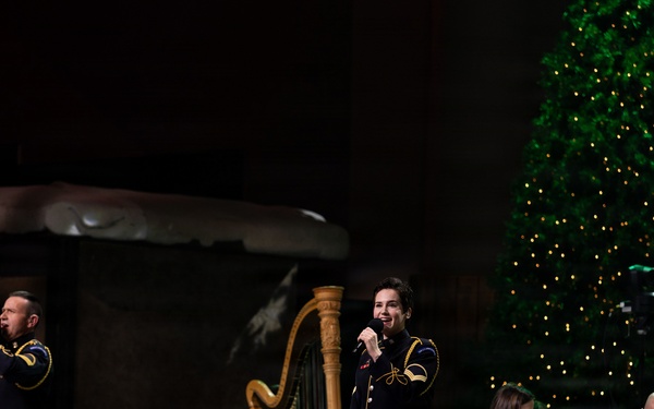 American Holiday Festival 2025