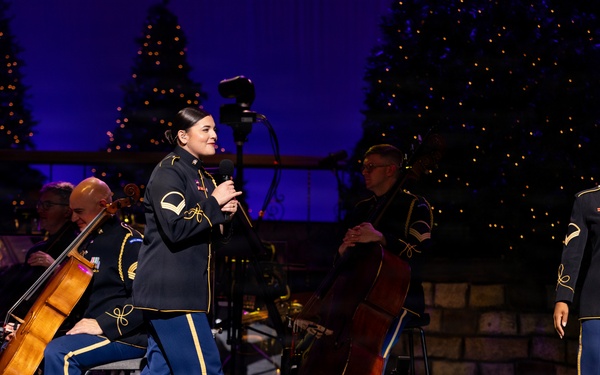 American Holiday Festival 2025