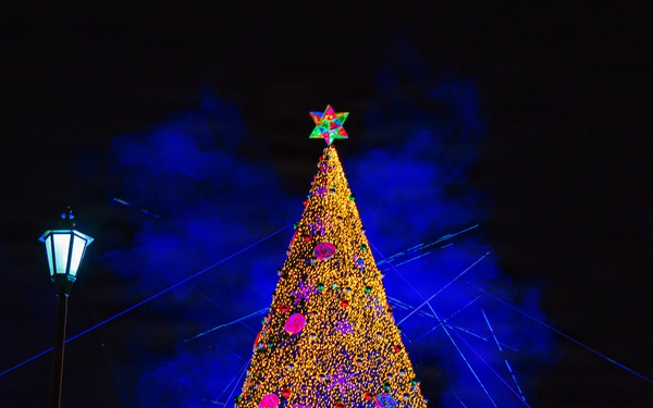 Humphreys Christmas Tree Lighting 25