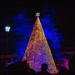 Humphreys Christmas Tree Lighting 25