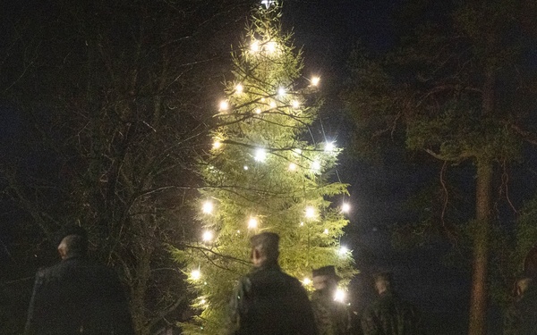 U.S. Marines attend Finnish Independence Day Ceremony