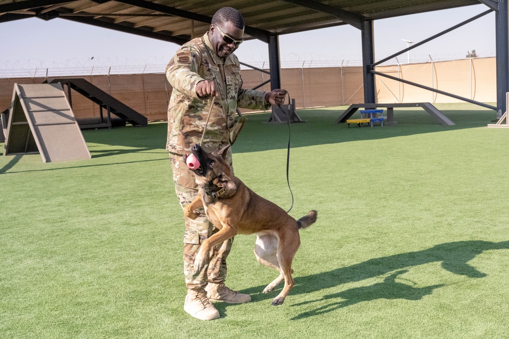 332nd EABG leadership tours K-9 facilities