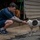 CARAT Brunei 2025: U.S. Sailors provide support at Local Dog Shelter
