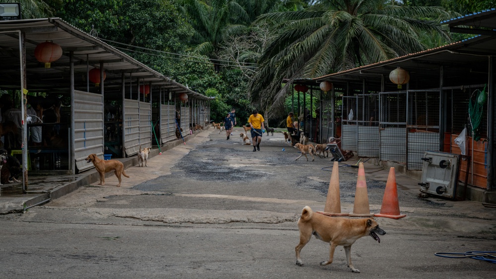 CARAT Brunei 2025: U.S. Sailors provide support at Local Dog Shelter