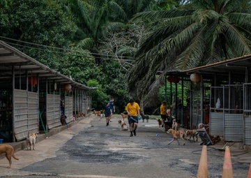 CARAT Brunei 2025: U.S. Sailors provide support at Local Dog Shelter