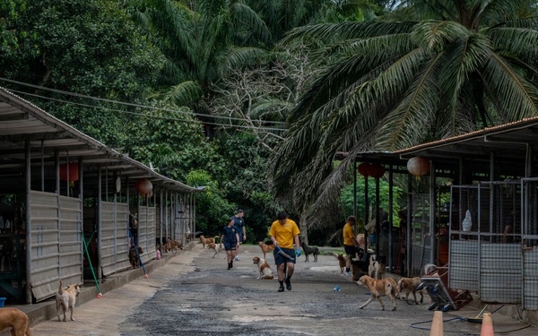 CARAT Brunei 2025: U.S. Sailors provide support at Local Dog Shelter