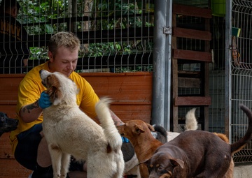 CARAT Brunei 2025: U.S. Sailors provide support at Local Dog Shelter