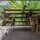 CARAT Brunei 2025: U.S. Sailors provide support at Local Dog Shelter