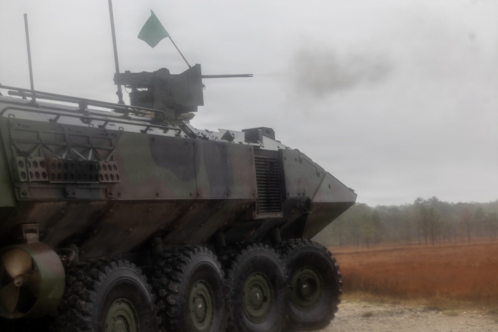 2nd Assualt Amphibian Battalion Naval Integration Training Package Machine Gun Range