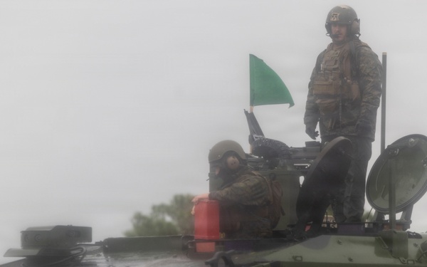 2nd Assualt Amphibian Battalion Naval Integration Training Package Machine Gun Range