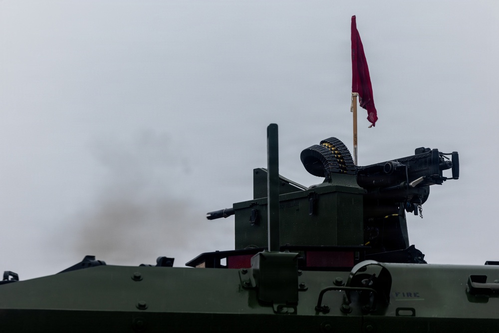 2nd AABn NITP 2 Machine Gun Range