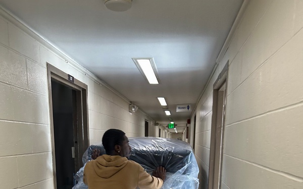 Many hands to move them all