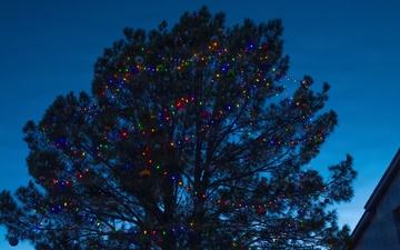 Laughlin kicks off holiday tradition with Christmas tree lighting