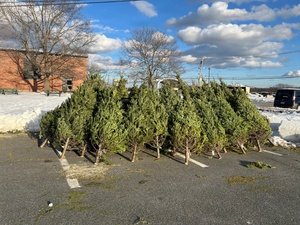 Lance Cpl. Jared Fisk