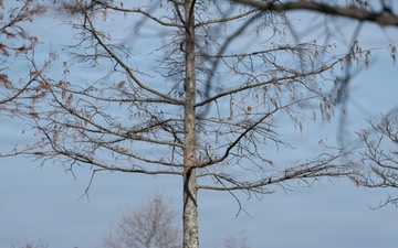 2025 Wreaths Across America Family Pass Holder Day