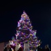 Team Minot celebrates the Minot Air Force Base Christmas Tree Lighting ceremony