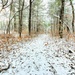 Consider a 2025-26 winter stop to Fort McCoy’s Pine View Recreation Area