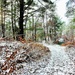 Consider a 2025-26 winter stop to Fort McCoy’s Pine View Recreation Area