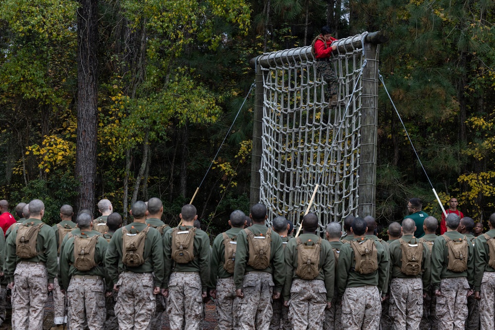 Alpha Company Confidence Course