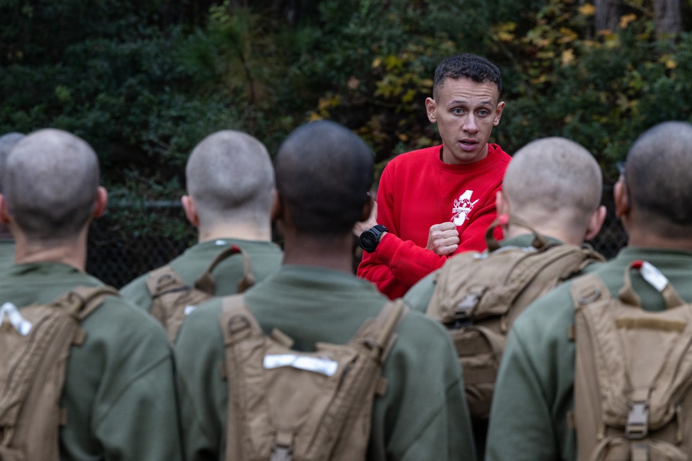 Alpha Company Confidence Course