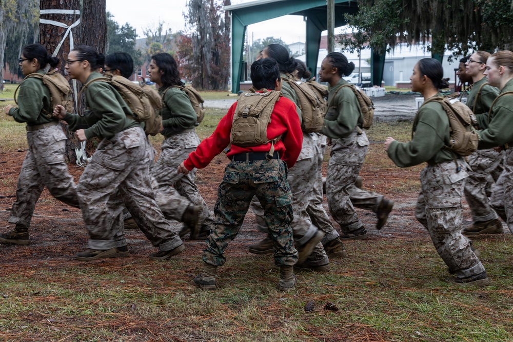 Alpha Company Confidence Course