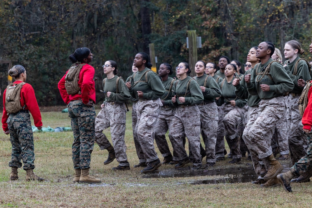 Alpha Company Confidence Course