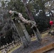 Alpha Company Confidence Course