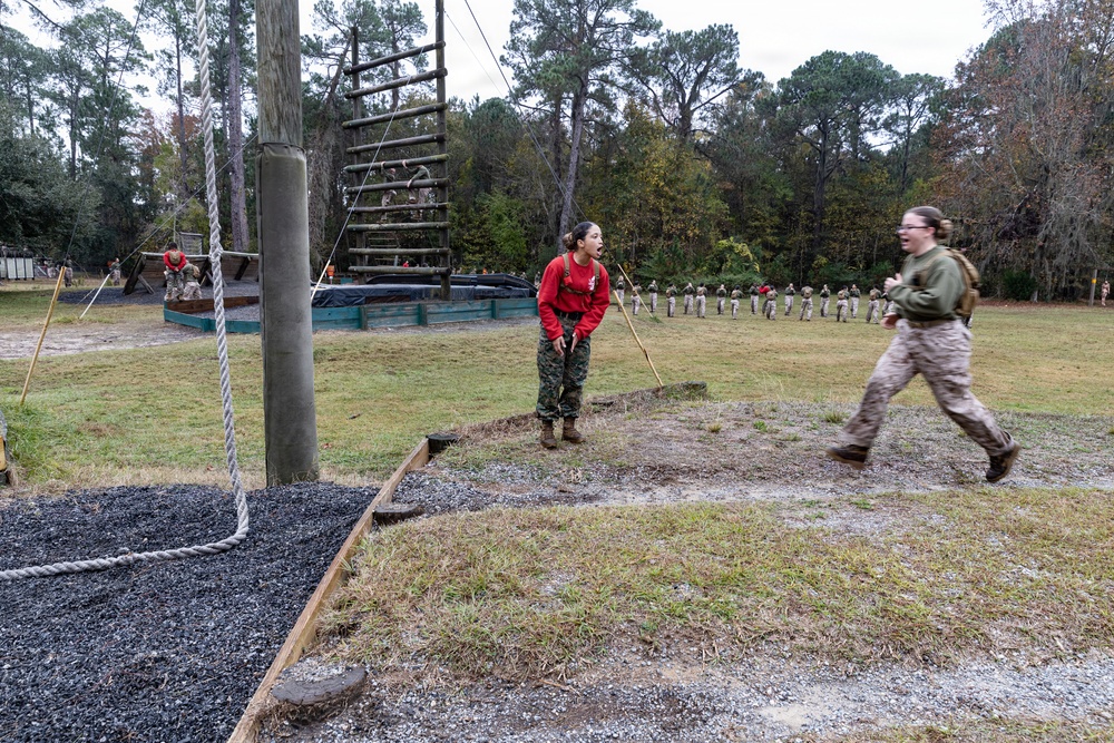 Alpha Company Confidence Course