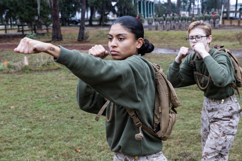Alpha Company Confidence Course