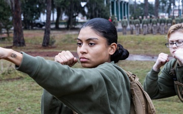 Alpha Company Confidence Course