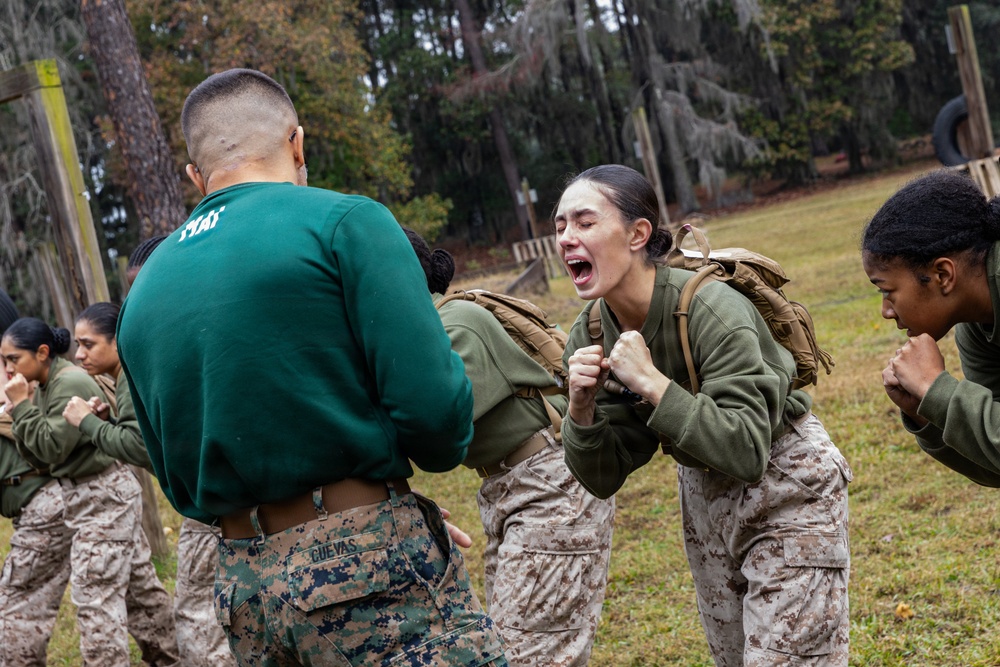 Alpha Company Confidence Course